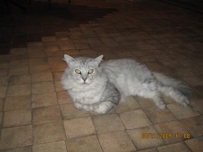 Прикрепленное изображение: IMG_0278.JPG